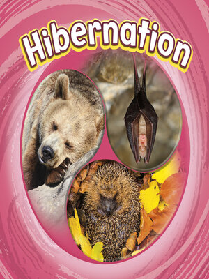 cover image of Hibernation